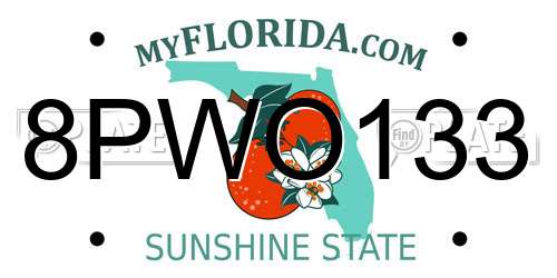 8PWO133 Florida License Plate