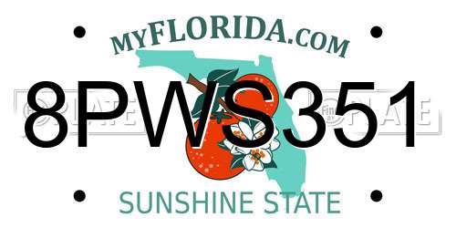 8PWS351 Florida License Plate