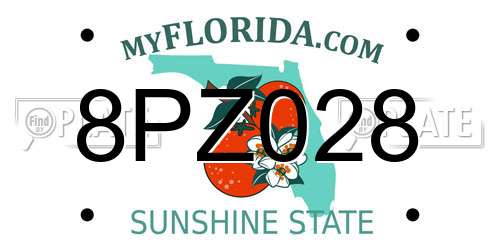 8PZ028 Florida License Plate