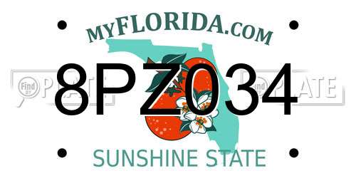 8PZ034 Florida License Plate