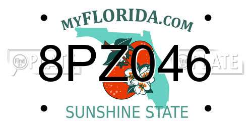 8PZ046 Florida License Plate