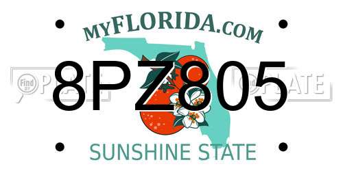 8PZ805 Florida License Plate