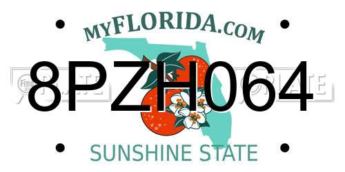 8PZH064 Florida License Plate