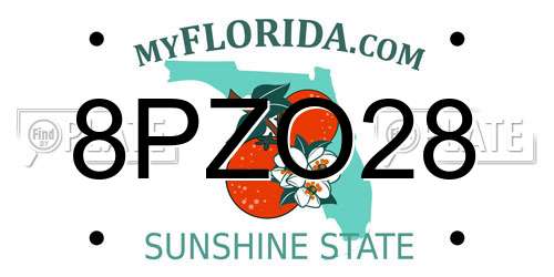 8PZO28 Florida License Plate