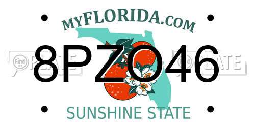8PZO46 Florida License Plate