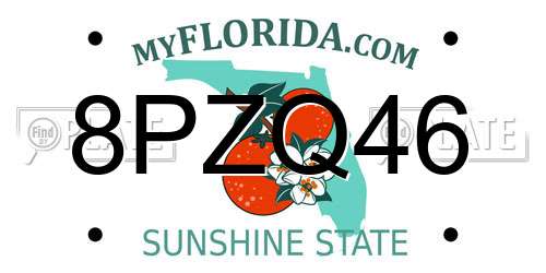 8PZQ46 Florida License Plate