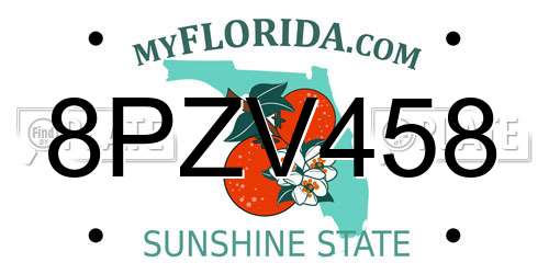 8PZV458 Florida License Plate