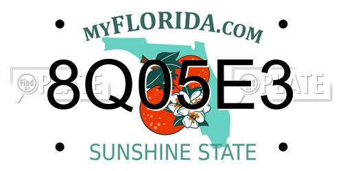 8Q05E3 Florida License Plate