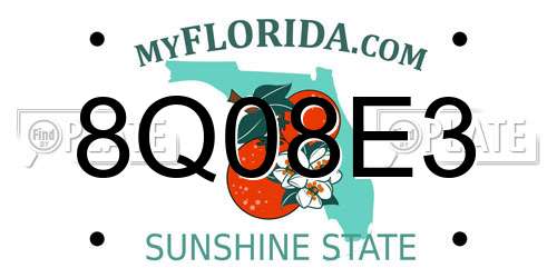 8Q08E3 Florida License Plate