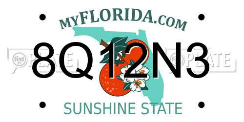 8Q12N3 Florida License Plate