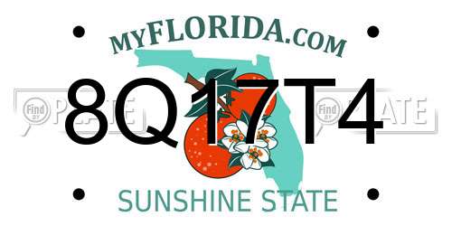 8Q17T4 Florida License Plate