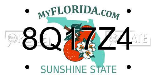 8Q17Z4 Florida License Plate