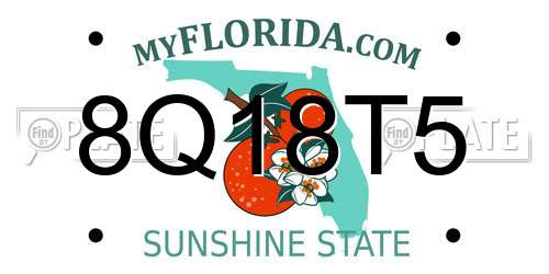 8Q18T5 Florida License Plate