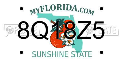 8Q18Z5 Florida License Plate