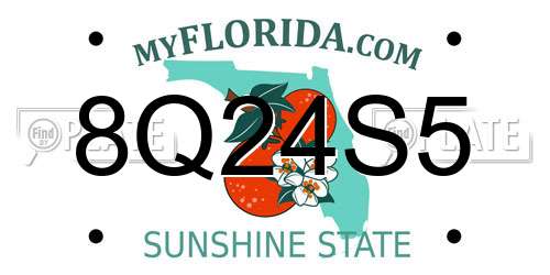 8Q24S5 Florida License Plate