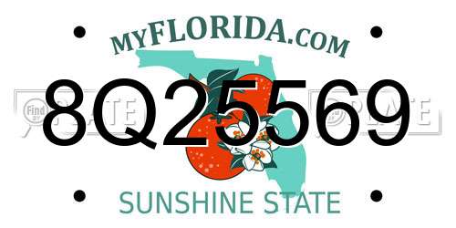 8Q25569 Florida License Plate