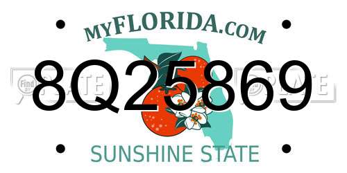 8Q25869 Florida License Plate
