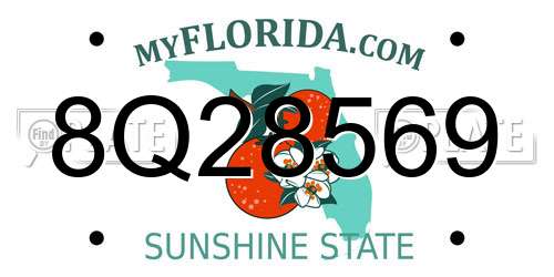 8Q28569 Florida License Plate