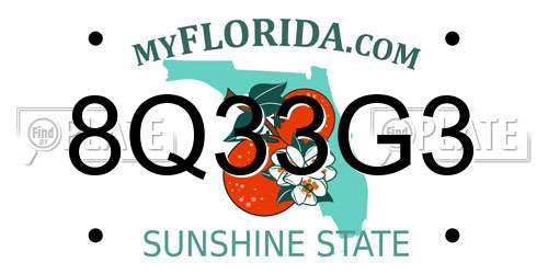 8Q33G3 Florida License Plate