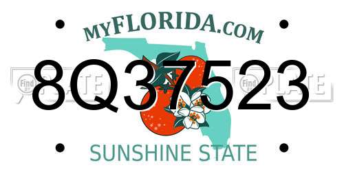 8Q37523 Florida License Plate