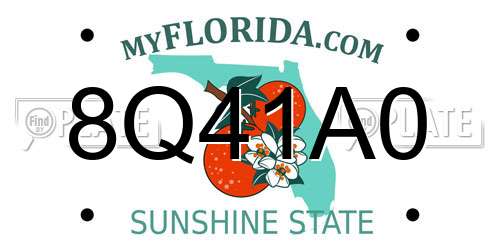 8Q41A0 Florida License Plate