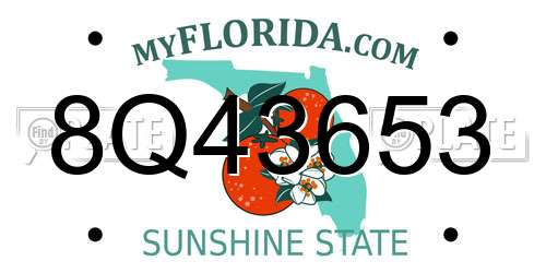 8Q43653 Florida License Plate