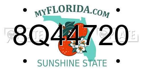 8Q44720 Florida License Plate