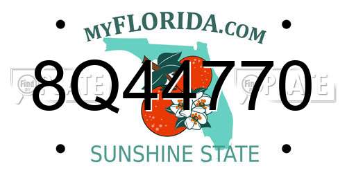 8Q44770 Florida License Plate