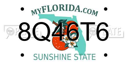 8Q46T6 Florida License Plate