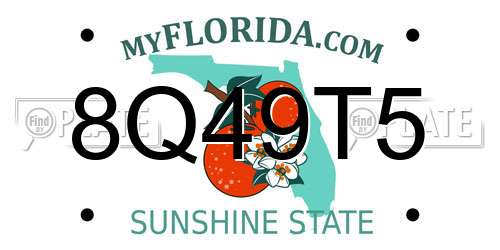 8Q49T5 Florida License Plate