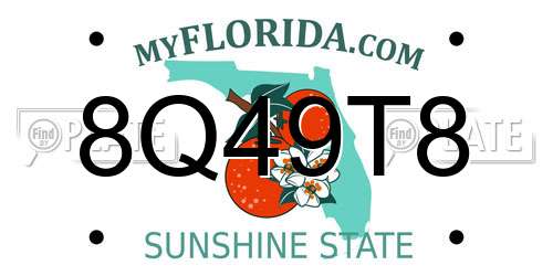 8Q49T8 Florida License Plate