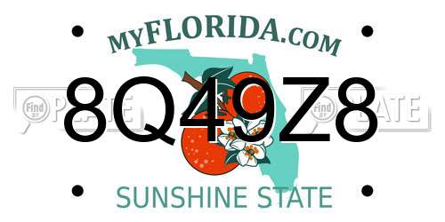 8Q49Z8 Florida License Plate