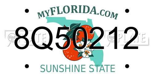8Q50212 Florida License Plate