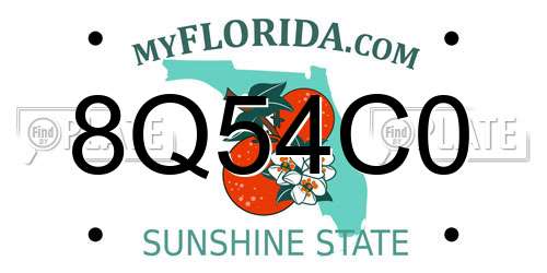 8Q54C0 Florida License Plate