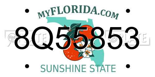 8Q55853 Florida License Plate