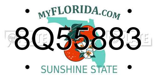 8Q55883 Florida License Plate