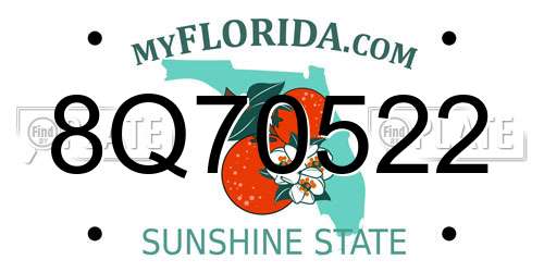 8Q70522 Florida License Plate