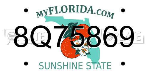 8Q75869 Florida License Plate