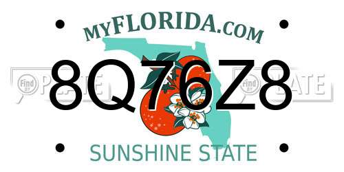 8Q76Z8 Florida License Plate