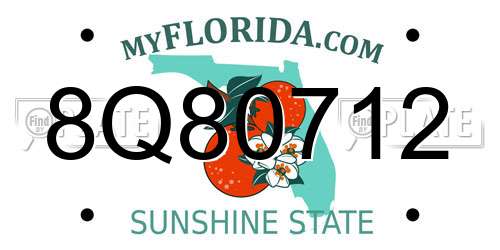 8Q80712 Florida License Plate