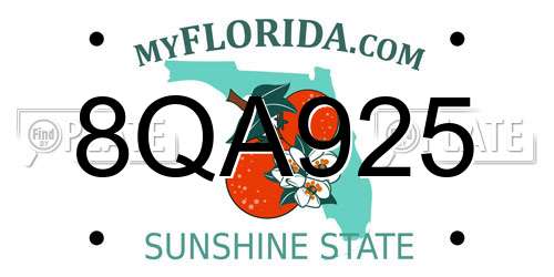 8QA925 Florida License Plate