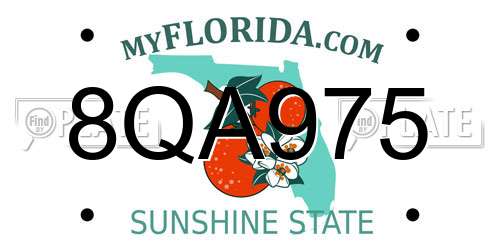 8QA975 Florida License Plate