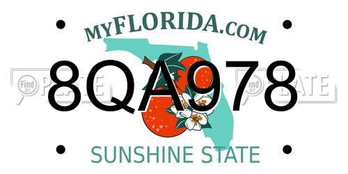 8QA978 Florida License Plate