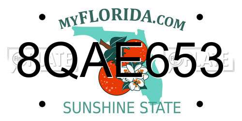 8QAE653 Florida License Plate