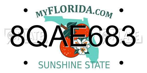 8QAE683 Florida License Plate