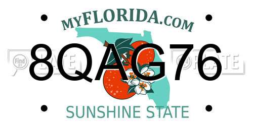 8QAG76 Florida License Plate