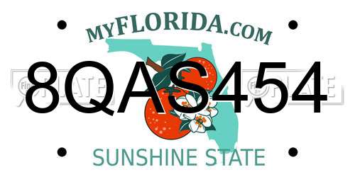 8QAS454 Florida License Plate