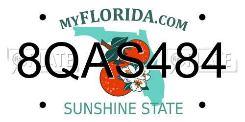 8QAS484 Florida License Plate