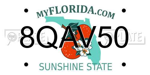 8QAV50 Florida License Plate