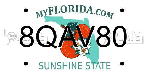 8QAV80 Florida License Plate
